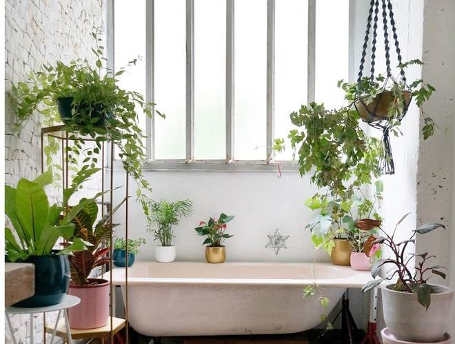 plantas no banheiro