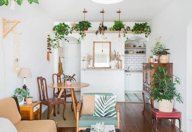 decorar apartamentos pequenos com plantas