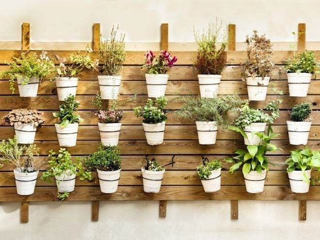 horta vertical