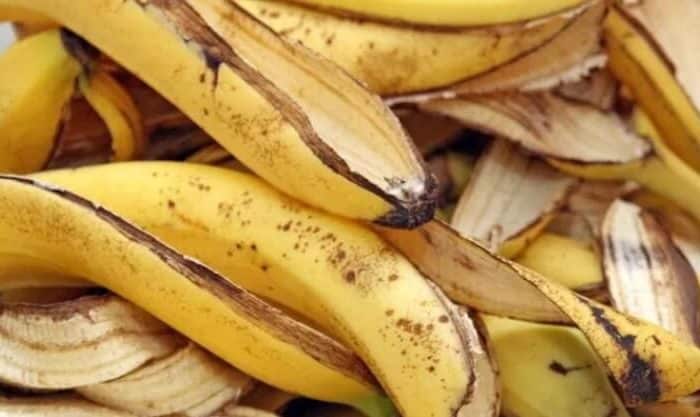 Cascas de banana