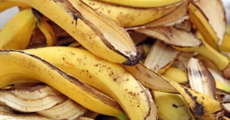 Cascas de banana