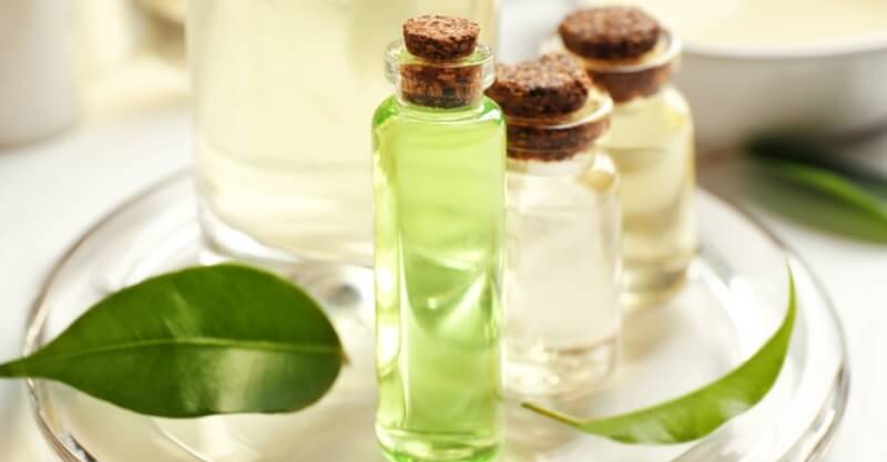Óleo de tea tree para a pele