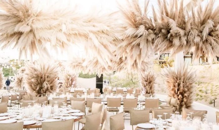 Ervas de pampas para decoração