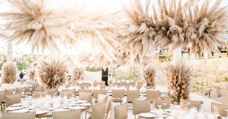 Ervas de pampas para decoração