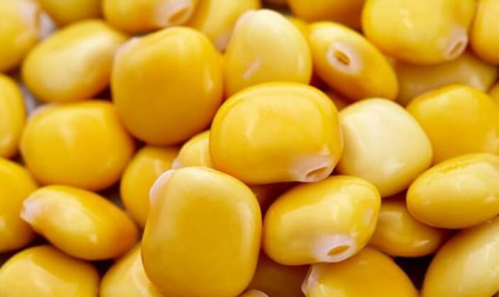Muitos tremoços